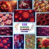 Blooming Flower