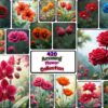 Amazing Flower