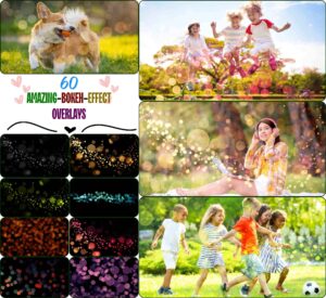 Amazing Bokeh Effect