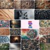 Amazing Wall