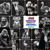 Amazing Chalk Art Animal