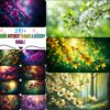Different Flower & Scenery