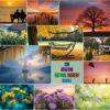 Amazing Natural Scenery
