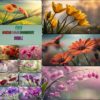 Amazing Flower Environment