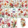 Amazing Flower Illustration