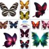 Amazing Butterfly Art
