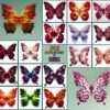 Amazing Butterfly Art