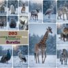 Stunning Animal With Snow Environment