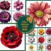 Stunning Flower Illustration Gallery