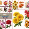 Stunning Flower Branch Illustration Bundle