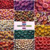 Amazing Flowers Patterns Background Bundle