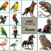Amazing Animal Oil Color Illustration Bundle