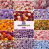 Amazing Different Realistic Flowers Texture