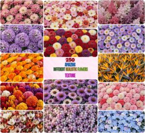 Amazing Different Realistic Flowers Texture