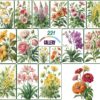 Stunning Flower Illustration Gallery