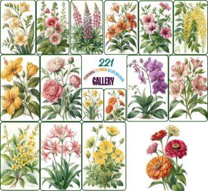 Stunning Flower Illustration Gallery