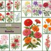 Amazing Different Flower Branch Bundle