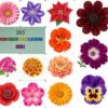 Amazing Realistic Flower Illustration Bundle